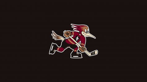 Tucson Roadrunners