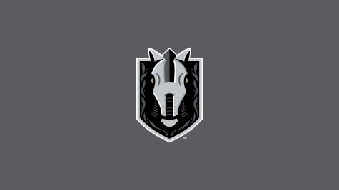 Henderson Silver Knights