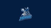 Manitoba Moose