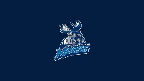 Manitoba Moose