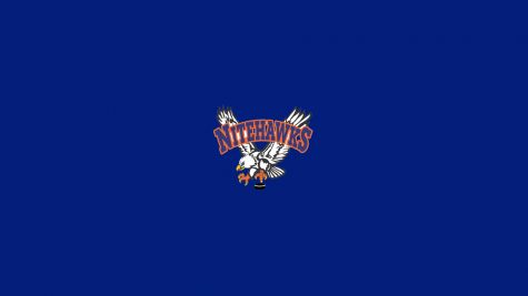 Beaver Valley Nitehawks