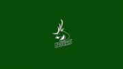 Cranbrook Bucks