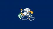 Surrey Eagles