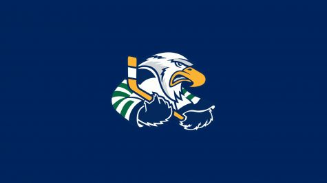 Surrey Eagles