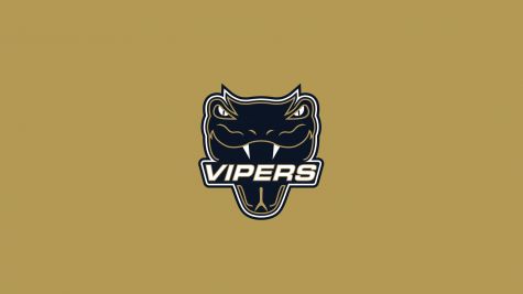 Vernon Vipers