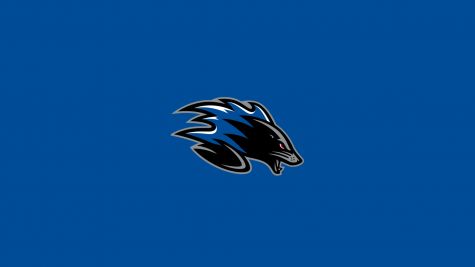 Saint John Sea Dogs