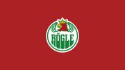 Rogle BK