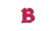 Benedictine (IL)  Men's Basketball