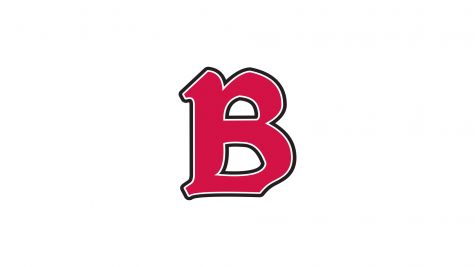 Benedictine (IL)  Men's Basketball