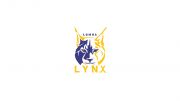 Lumsden Lynx U13 AA (G)