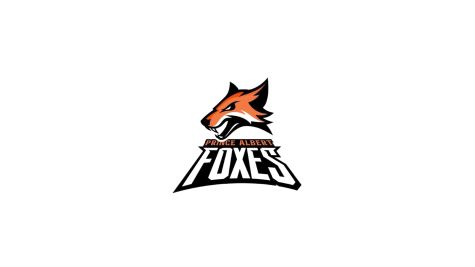 Prince Albert Foxes U13 AA (G)