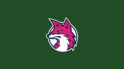 Sweet Briar Women's Volleyball
