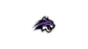 Wiley Men's Basketball
