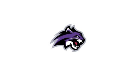 Wiley Men's Basketball