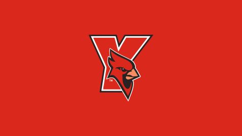 York (NY) Men's Hockey