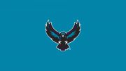 Rochester Knighthawks