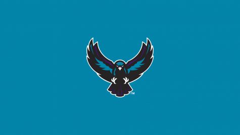 Rochester Knighthawks
