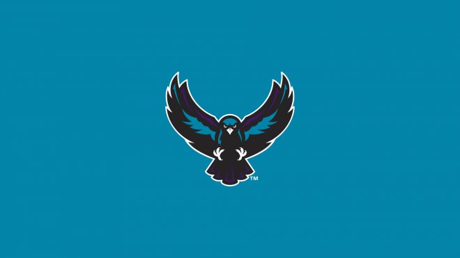 Rochester Knighthawks
