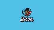 Bloomington Bison