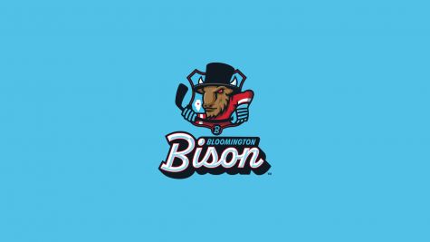 Bloomington Bison