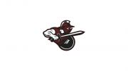 Atlanta Gladiators