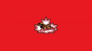 Niagara Falls Canucks