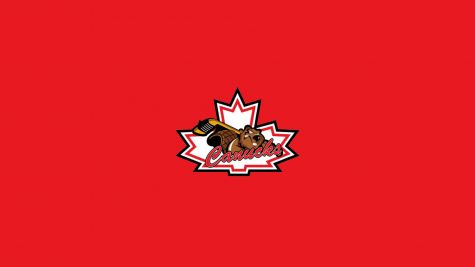 Niagara Falls Canucks