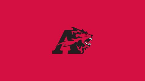 Albright Men's Hockey