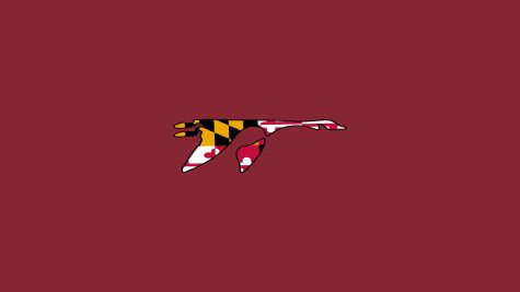 Washington College (MD) Men's Basketball