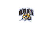 Schoolcraft Men's Basketball