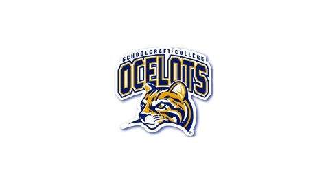 Schoolcraft Men's Basketball