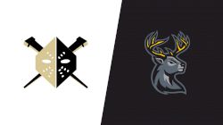 2021 Wheeling Nailers vs Iowa Heartlanders