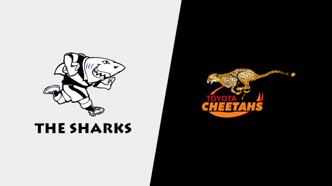 picture of 2022 Sharks vs Toyota Cheetahs
