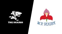 2022 Sharks vs Western Province