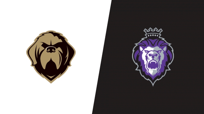 picture of 2022 Newfoundland Growlers vs Reading Royals