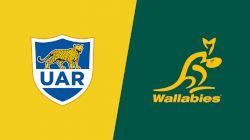 2022 Argentina vs Australia