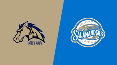 Mustangs vs Salamanders
