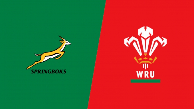 picture of 2022 South Africa vs Wales
