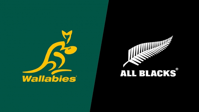 picture of 2022 Australia vs New Zealand All Blacks - Bledisloe Cup, Game 1
