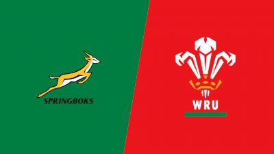 2022 South Africa vs Wales