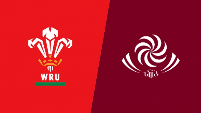 picture of 2022 Wales vs Georgia