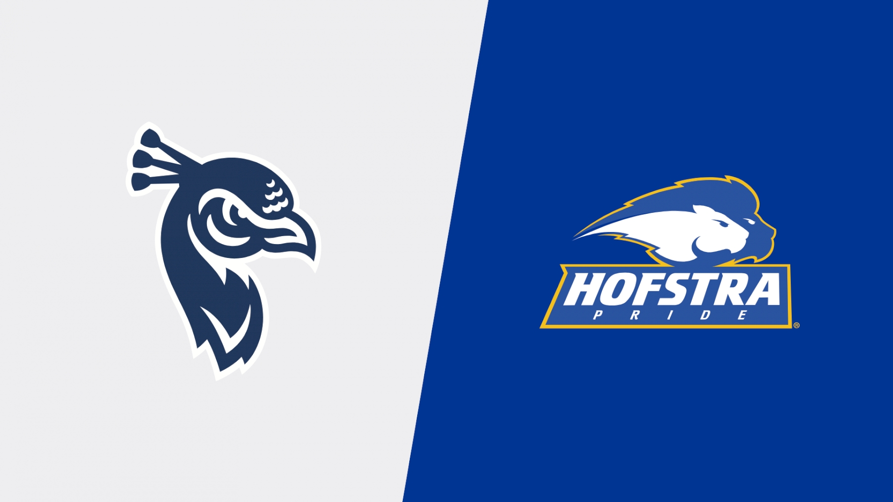 2022 St. Peter's vs Hofstra - Videos - FloTrack 2022 St. Peter's vs Hofstra - Videos - FloTrack