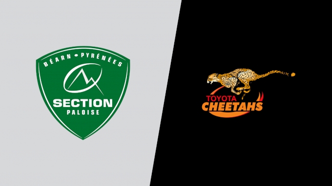 picture of 2022 Section Paloise vs Cheetahs