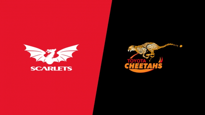 picture of 2022 Scarlets vs Cheetahs