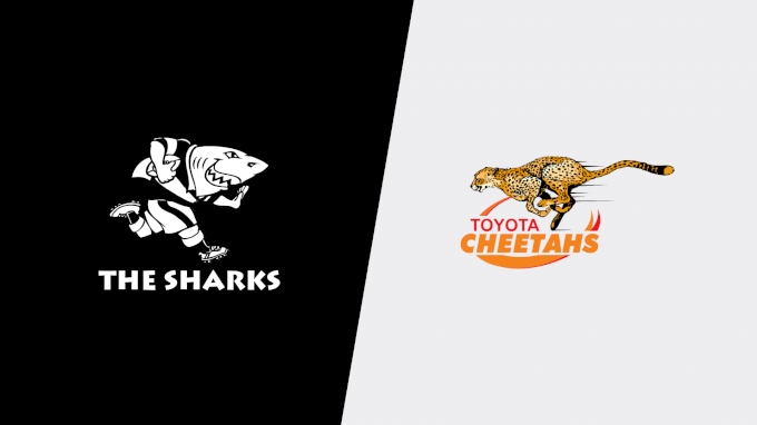 picture of 2023 Sharks vs Free State Cheetahs