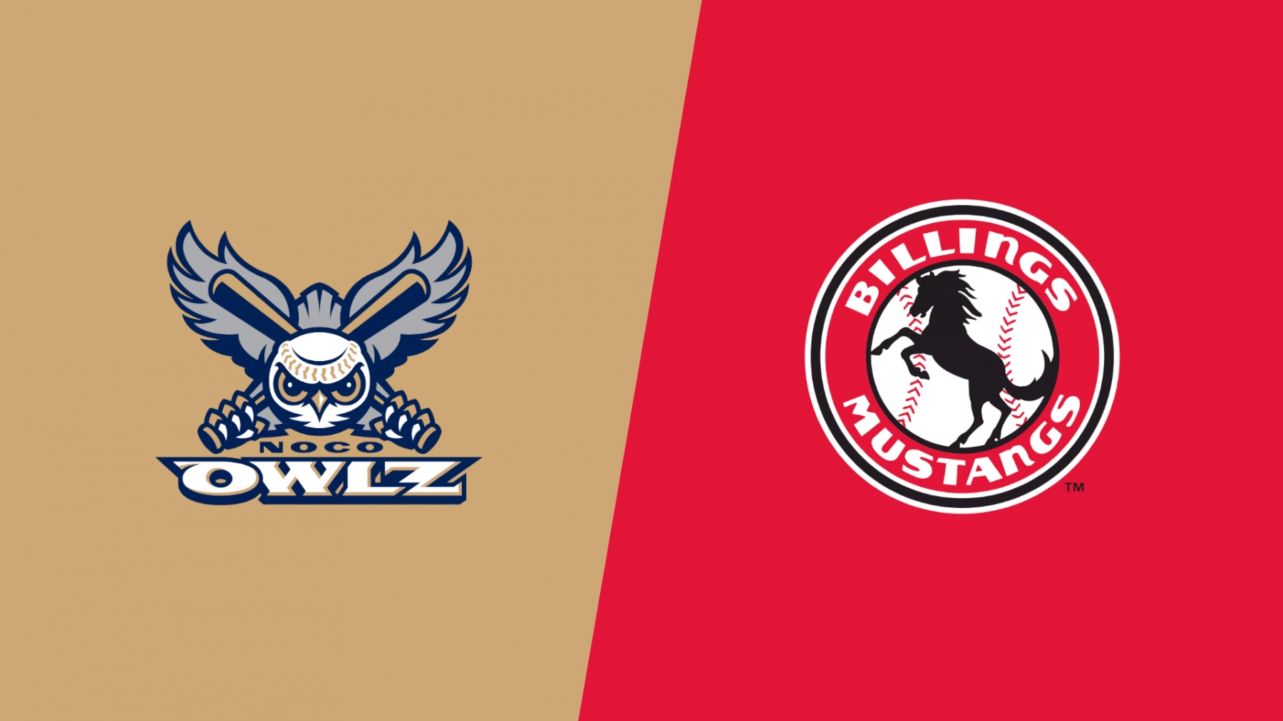 2023 Northern Colorado Owlz vs Billings Mustangs - Videos - FloBaseball