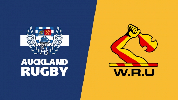 picture of 2023 Auckland vs Waikato
