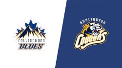 2023 Collingwood Blues vs Burlington Cougars