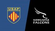 2024 Perpignan vs Newcastle Falcons