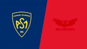 2024 ASM Clermont Auvsergne vs Scarlets